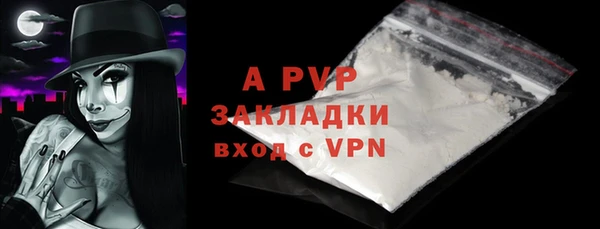 стаф Бугульма