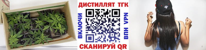 хочу наркоту  Киселёвск  Дистиллят ТГК Wax 