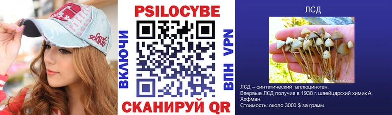 где купить наркоту  Киселёвск  blacksprut вход  Галлюциногенные грибы ЛСД 